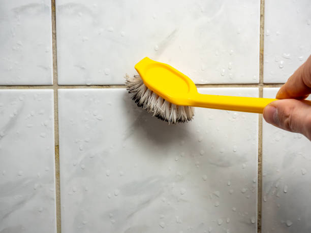 Best Mold Testing  in Aurora, IL