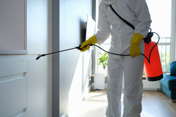 Best Commercial Mold Removal  in Aurora, IL